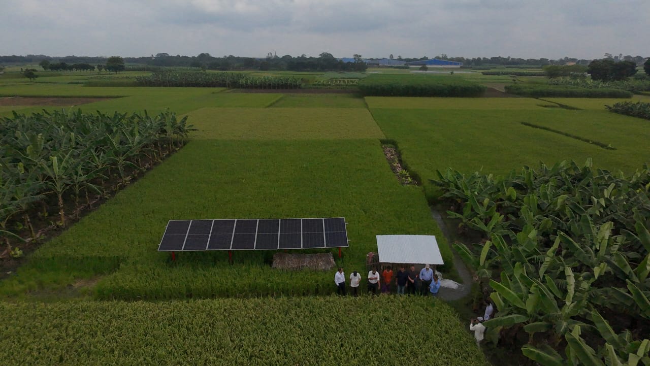 সোলার পাম্প